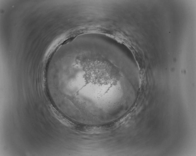 X0000080730293200612151231