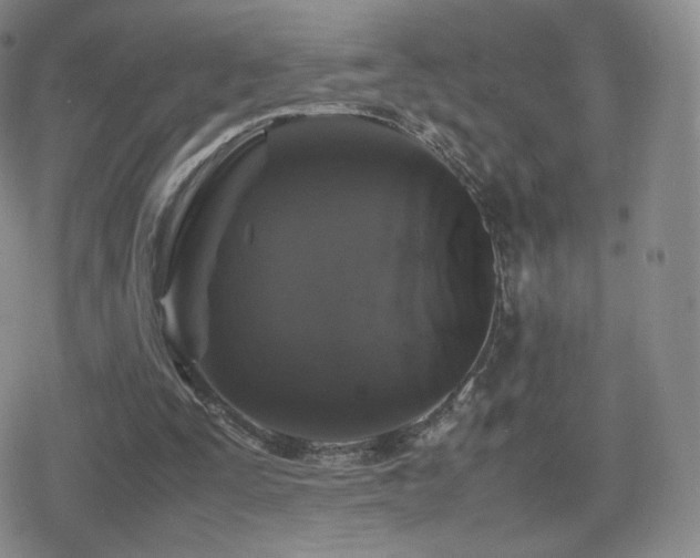 X0000080730295200612151231