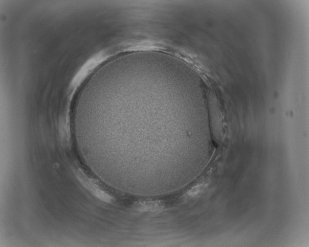 X0000080730296200612151231