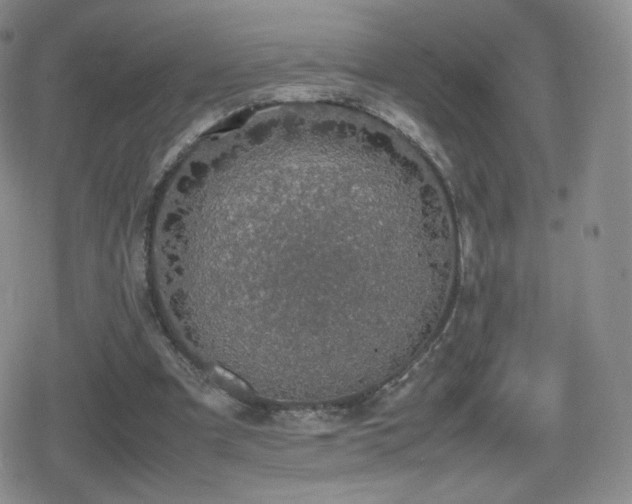 X0000080730297200612151231