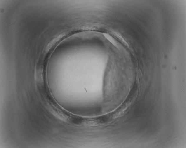 X0000080730299200612151231