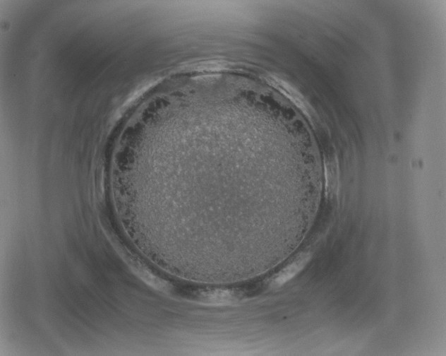 X0000080730301200612151231