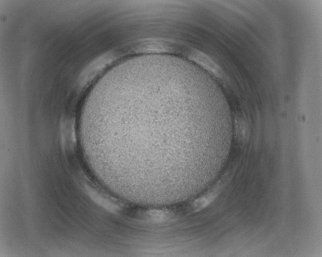 X0000080730302200612151231