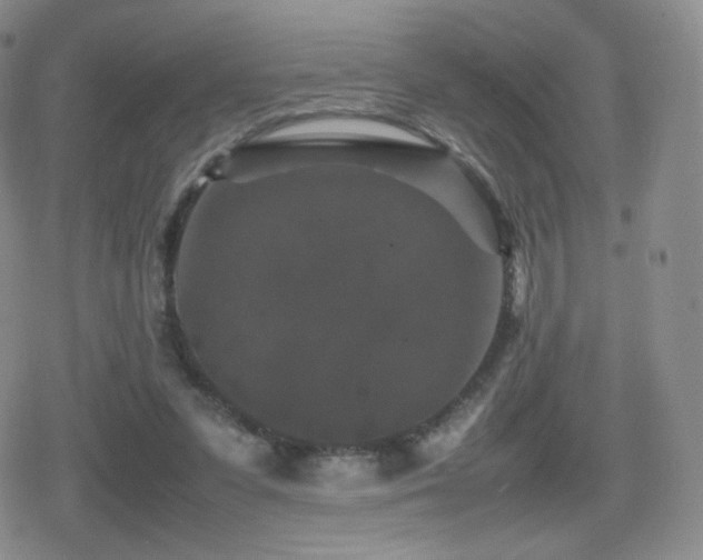 X0000080730303200612151231