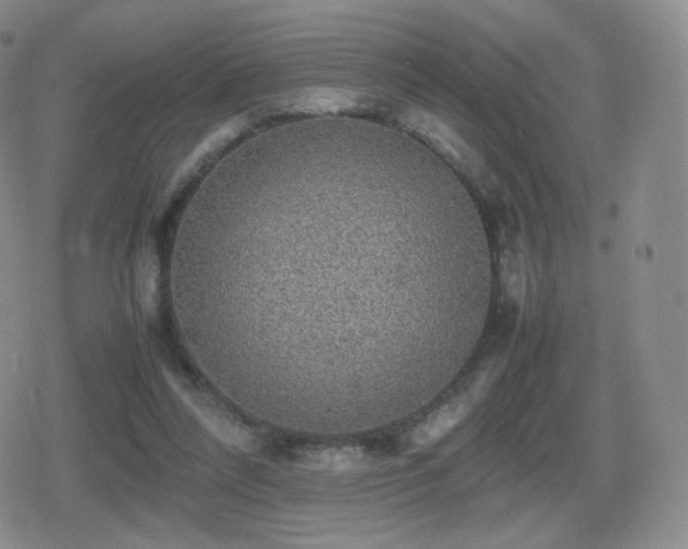 X0000080730304200612151231