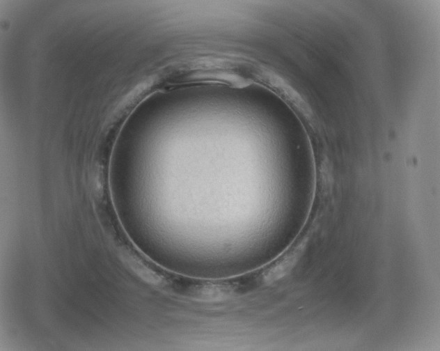 X0000080730305200612151231