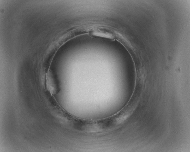 X0000080730307200612151231