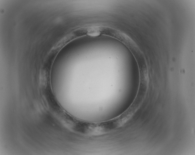 X0000080730311200612151231