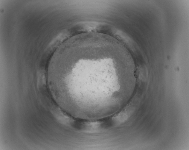 X0000080730313200612151231