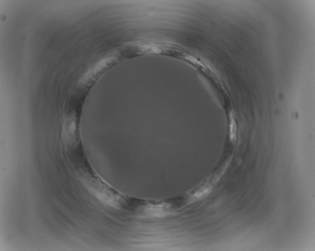 X0000080730314200612151231