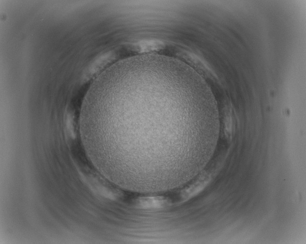 X0000080730316200612151231