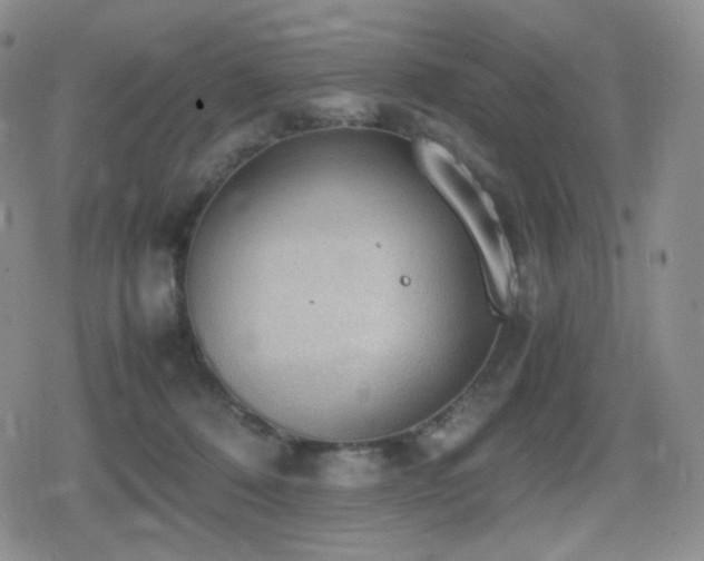 X0000080730320200612151231