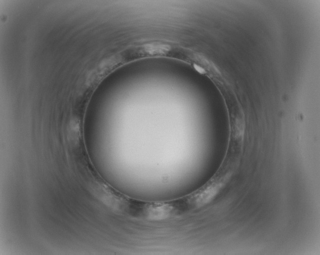 X0000080730321200612151231