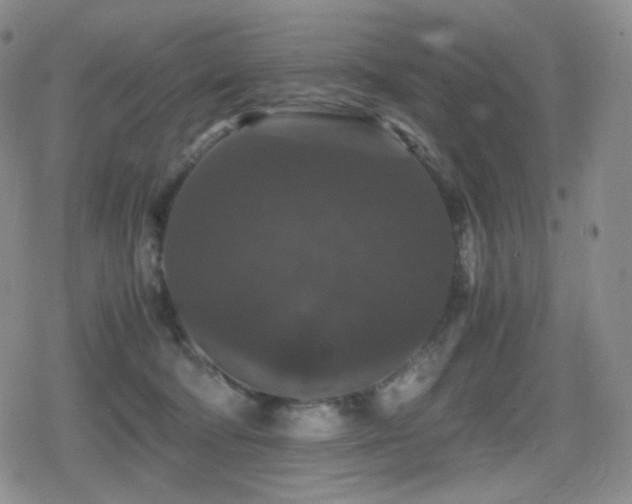 X0000080730322200612151231