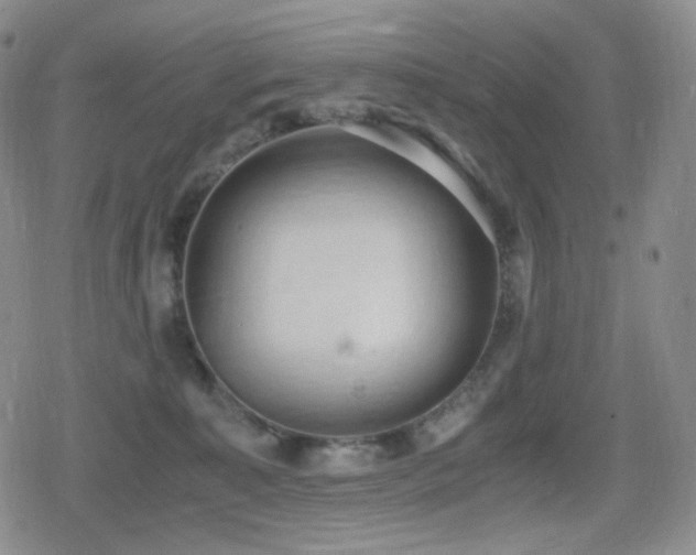 X0000080730323200612151231