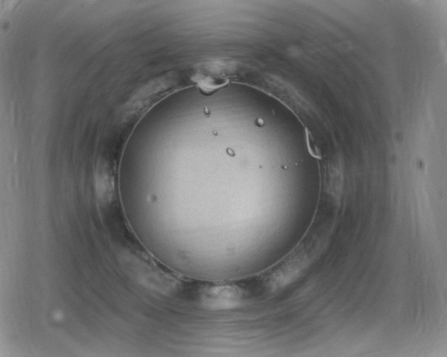 X0000080730324200612151230