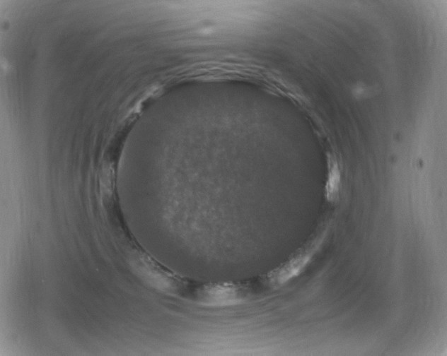 X0000080730325200612151230