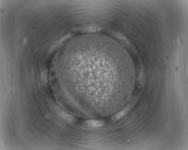 X0000080730326200612151230