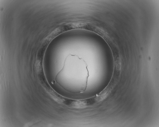 X0000080730327200612151230