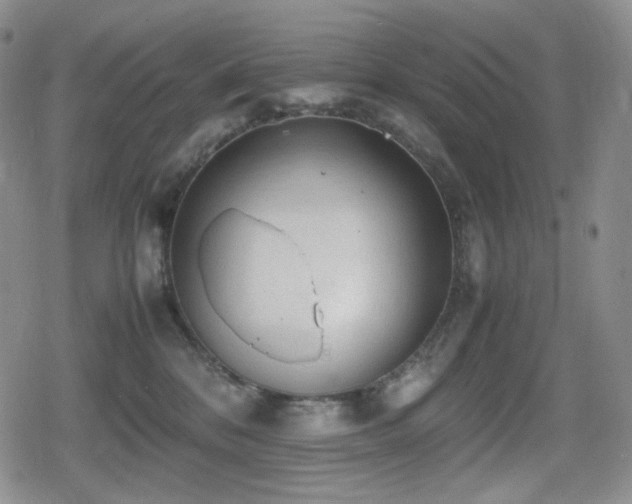 X0000080730328200612151230