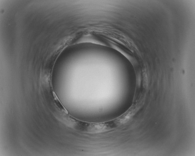 X0000080730329200612151230