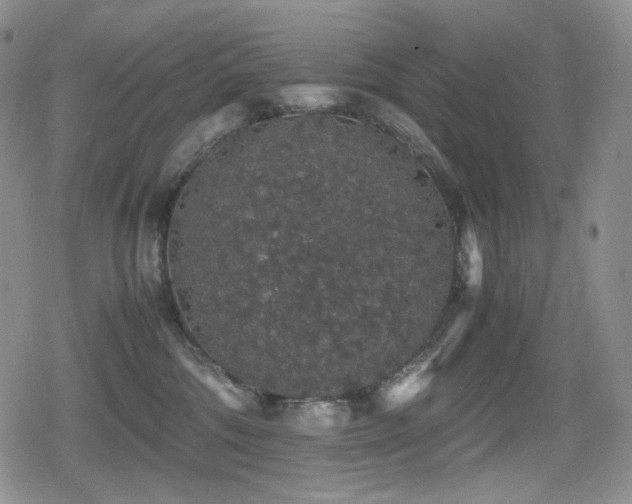 X0000080730330200612151230