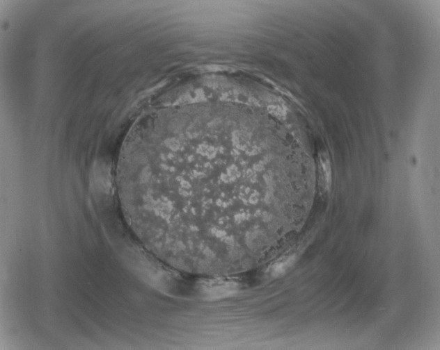 X0000080730331200612151230