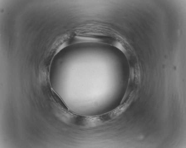 X0000080730333200612151230