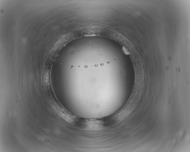 X0000080730336200612151230