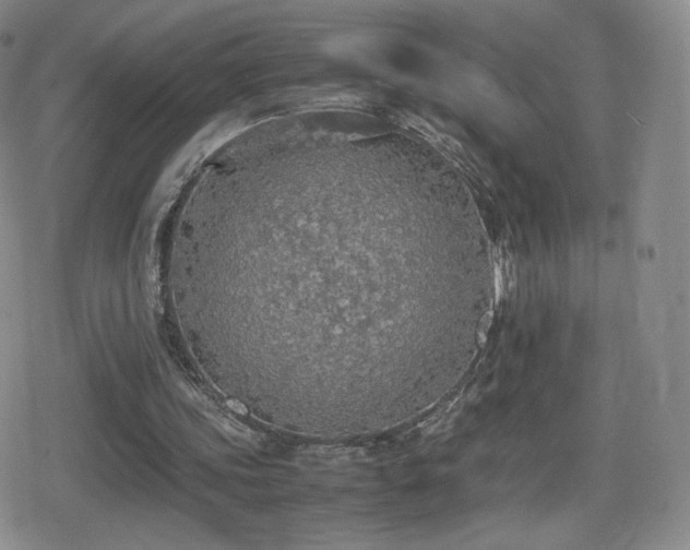 X0000080730339200612151230