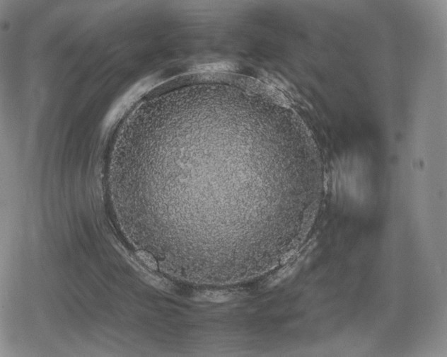 X0000080730341200612151230