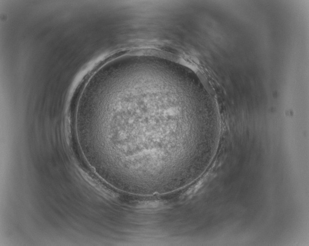 X0000080730342200612151230