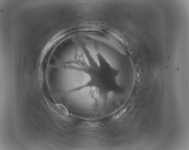 X0000080730343200612151230