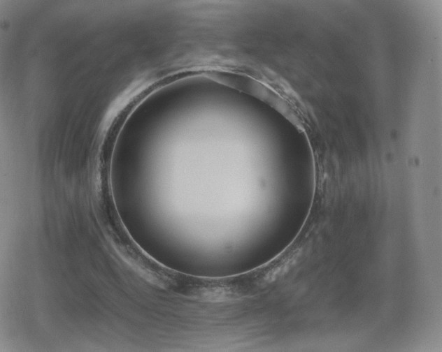 X0000080730344200612151230