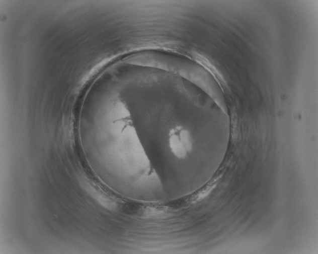 X0000080730346200612151230