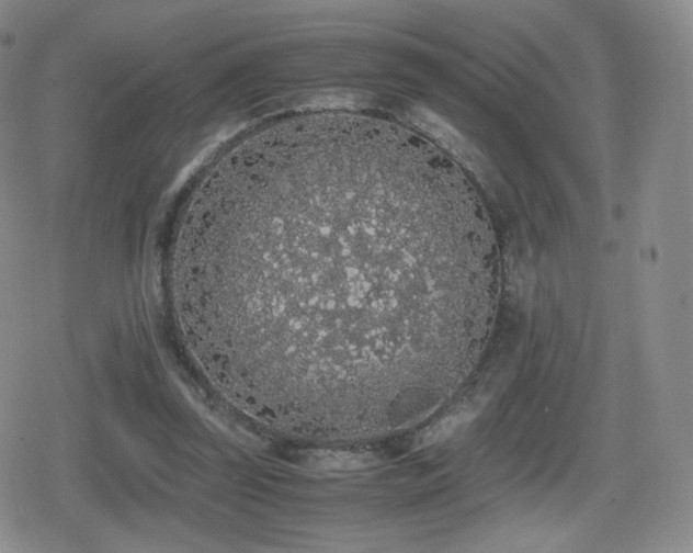 X0000080730347200612151230