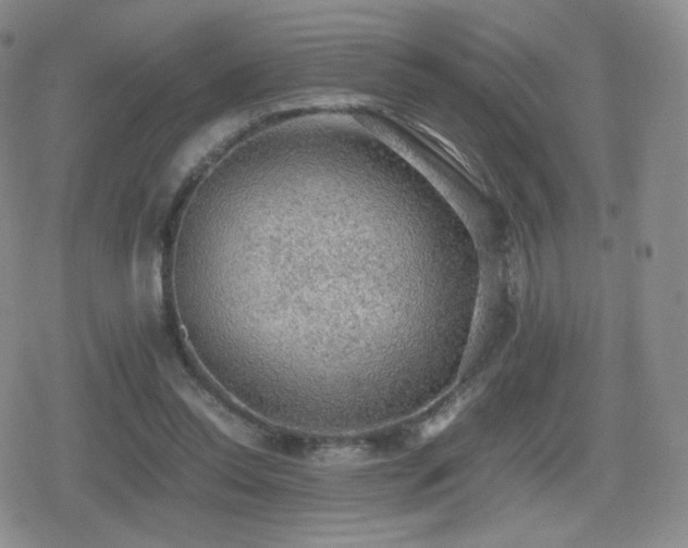 X0000080730350200612151230