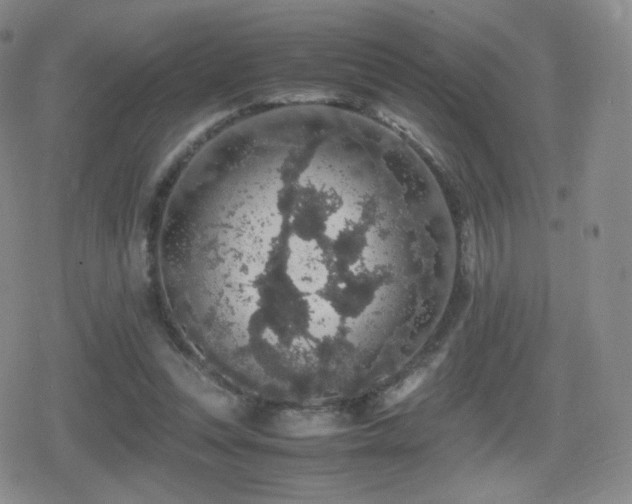 X0000080730351200612151230