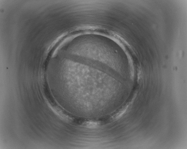 X0000080730352200612151230