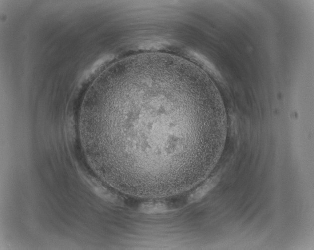 X0000080730354200612151230