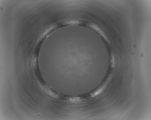 X0000080730355200612151230