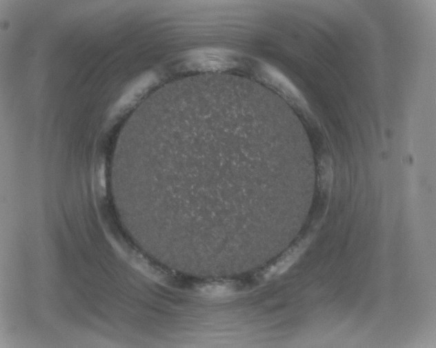 X0000080730358200612151230