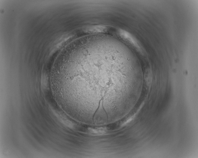 X0000080730359200612151230