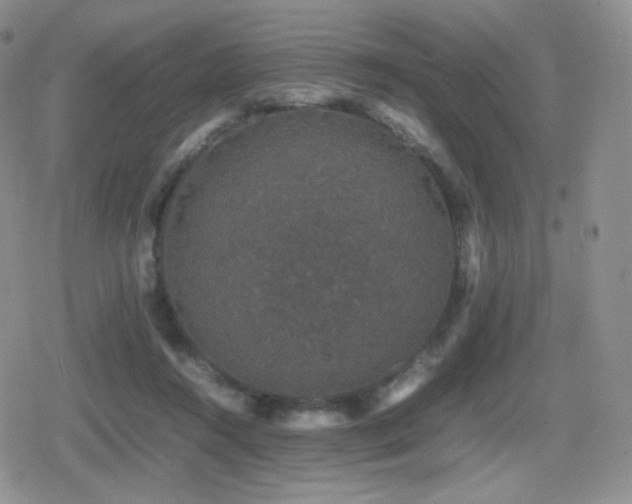 X0000080730360200612151230