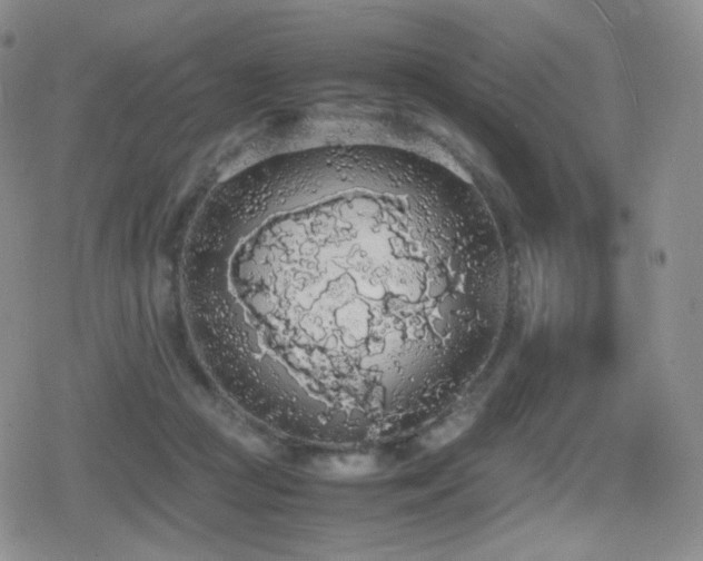 X0000080730361200612151230