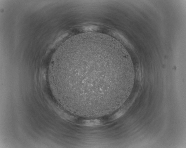 X0000080730363200612151230