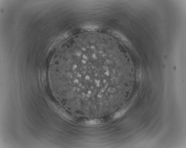 X0000080730365200612151230