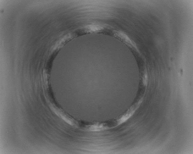 X0000080730366200612151230