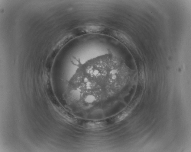 X0000080730367200612151230