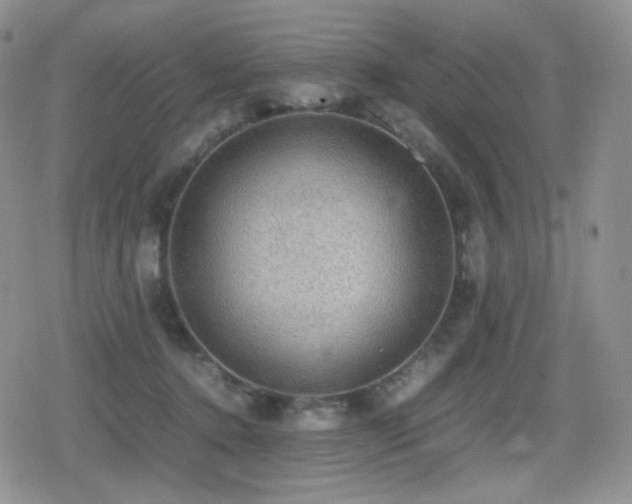 X0000080730368200612151230